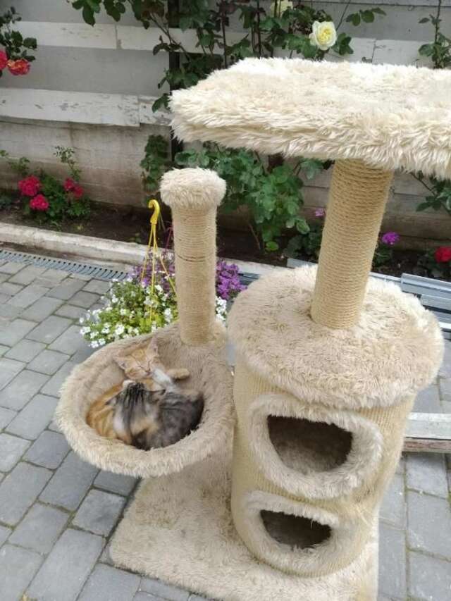 Отель EliteHouseOdessa Одесса-49